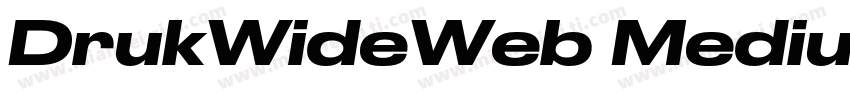 DrukWideWeb MediumIt字体转换